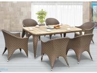 Rattan Garden Furniture Sets 1+6 With Teak Wood Table Top DR-3356T/C